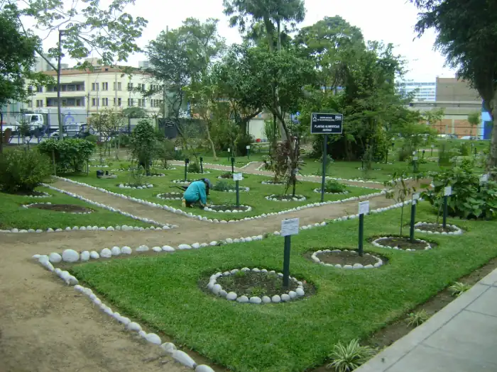 Botanical Garden of Medicinal Plants