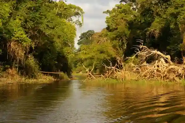 Clothing and Footwear Tips for the Rainforest Climate