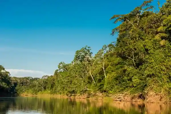 Traveling Package Checklist What You Need for Peru’s Amazon Jungle