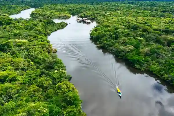 Why You Need a Specific Traveling Package for the Amazon Jungle