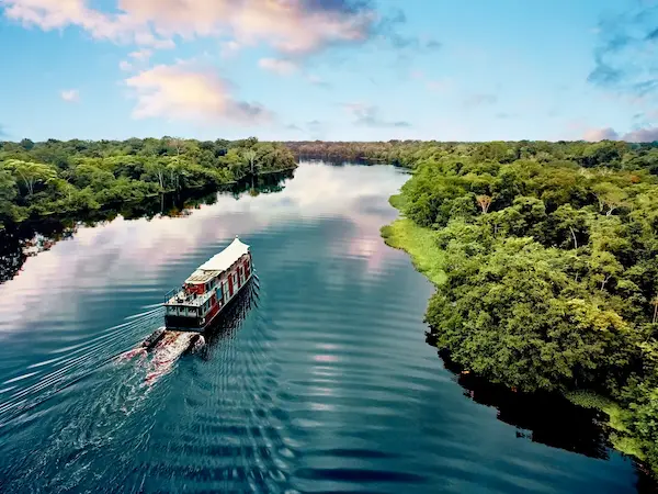 The Amazon rainforest