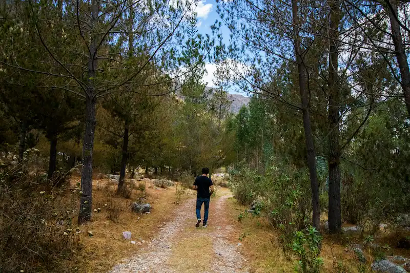 Tips on how to get from Lima to Cusco