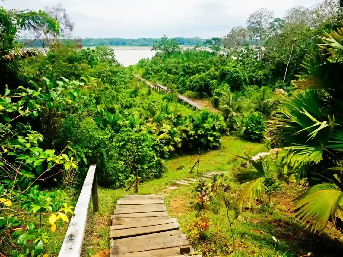 nature of puerto maldonado 