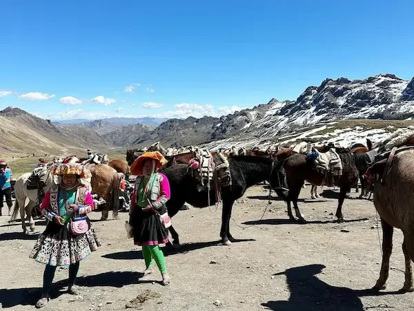 animals in cusco