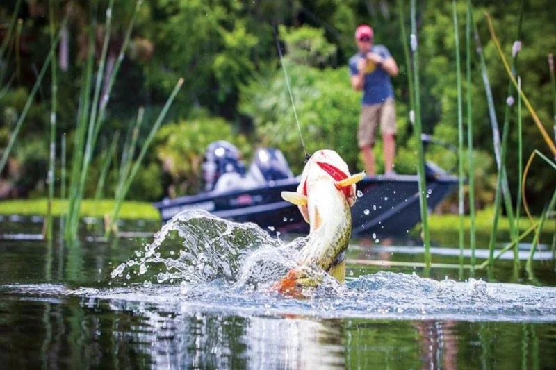 Fishing techniques that work in the Amazon