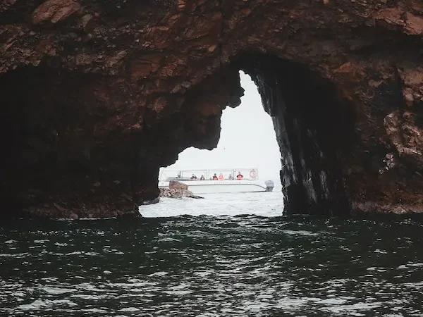paracas