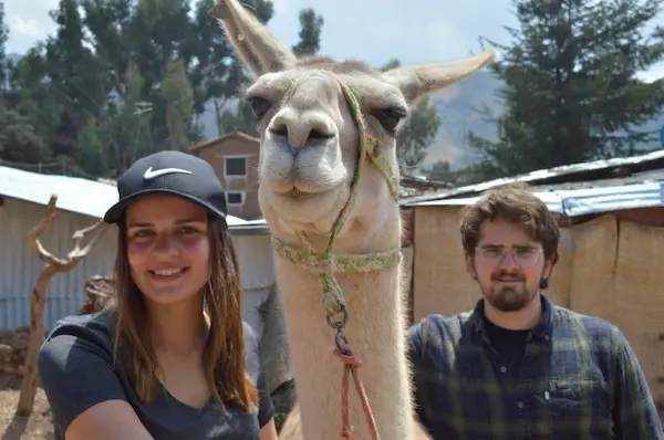 Alpaca farm in Peru representing sustainable tourism and local communities