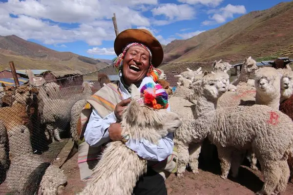 Alpaca wool textiles in Cusco showing cultural traditions in Peru